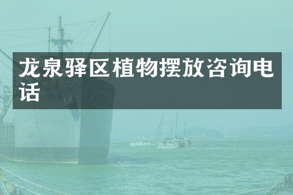 龙泉驿区植物摆放咨询电话