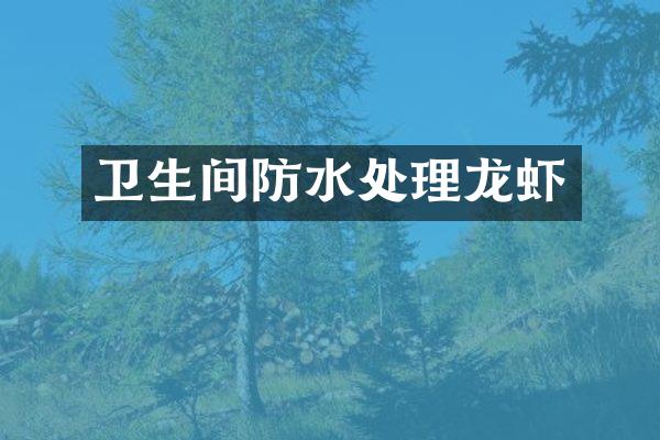 卫生间防水处理龙虾