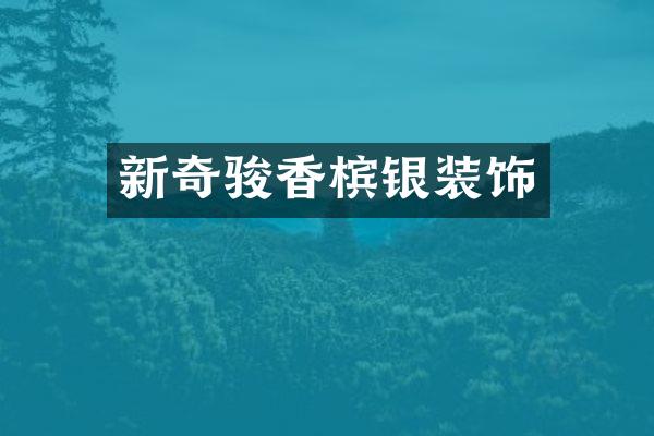 新奇骏香槟银装饰
