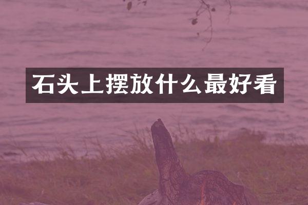 石头上摆放什么最好看
