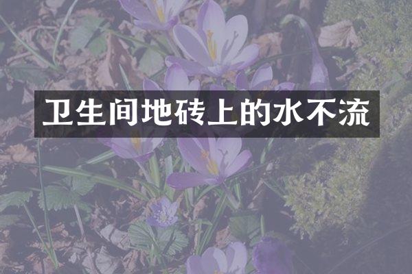 卫生间地砖上的水不流