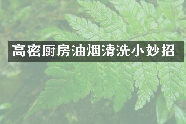 高密厨房油烟清洗小妙招