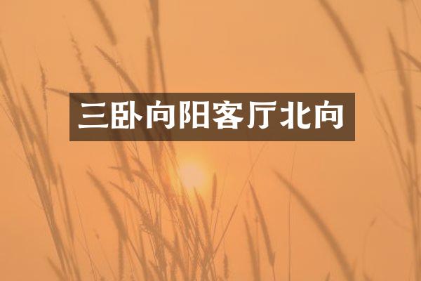 三卧向阳客厅北向