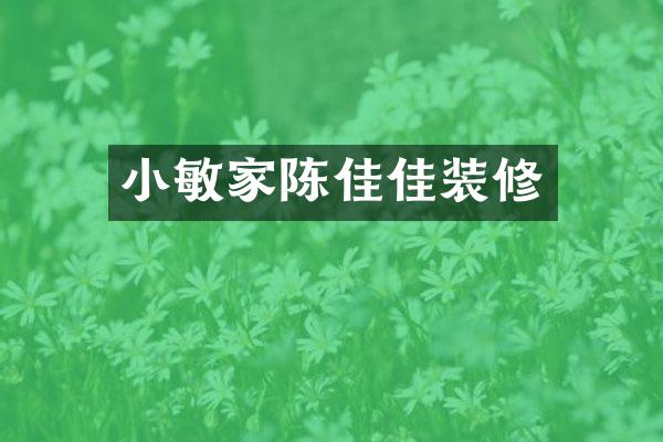 小敏家陈佳佳装修