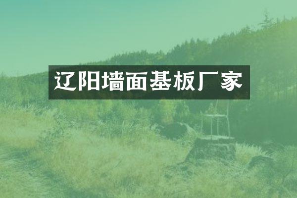 辽阳墙面基板厂家
