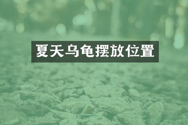 夏天乌龟摆放位置