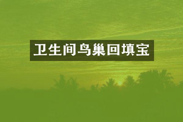 卫生间鸟巢回填宝