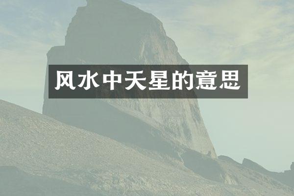 风水中天星的意思