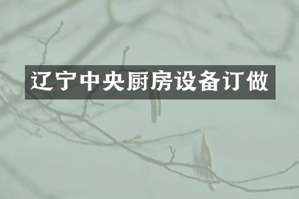 辽宁中央厨房设备订做