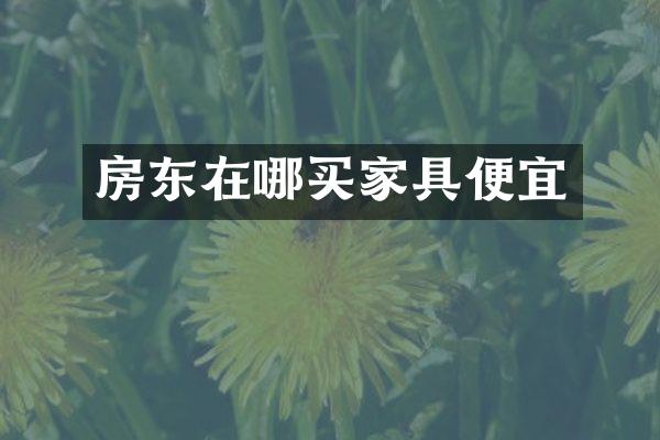 房东在哪买家具便宜