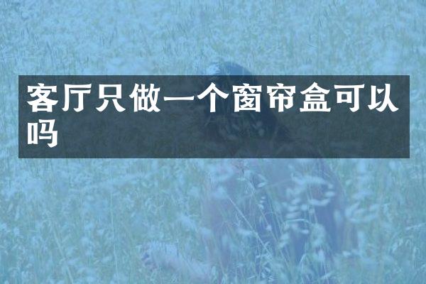 客厅只做一个窗帘盒可以吗