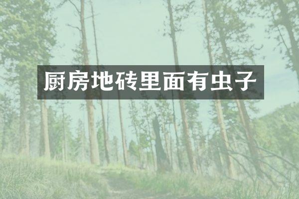 厨房地砖里面有虫子