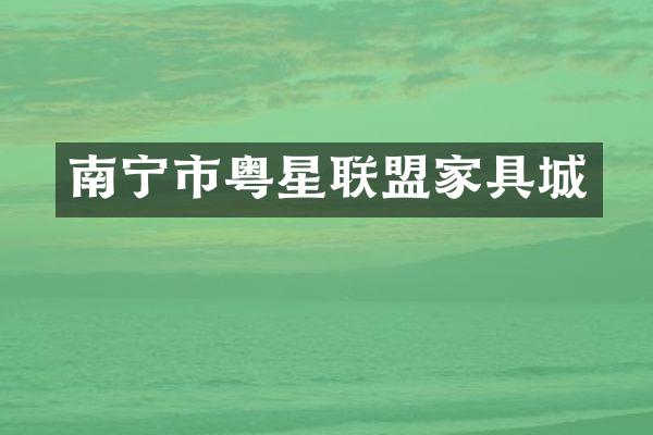 南宁市粤星联盟家具城
