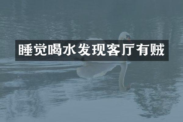 睡觉喝水发现客厅有贼