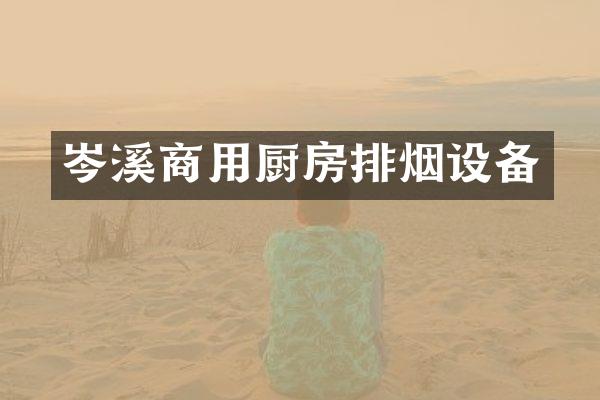 岑溪商用厨房排烟设备