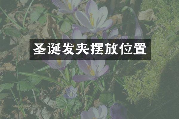 圣诞发夹摆放位置