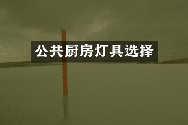 公共厨房灯具选择