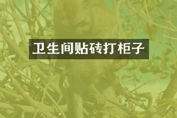 卫生间贴砖打柜子
