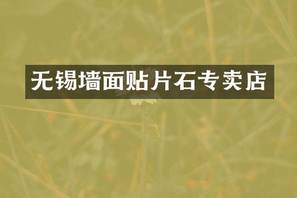 无锡墙面贴片石专卖店