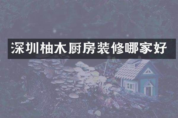 深圳柚木厨房装修哪家好