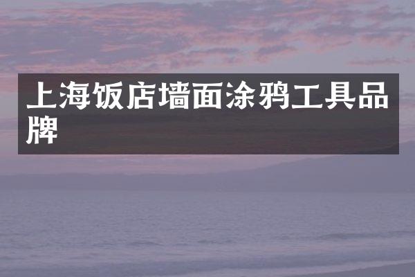 上海饭店墙面涂鸦工具品牌