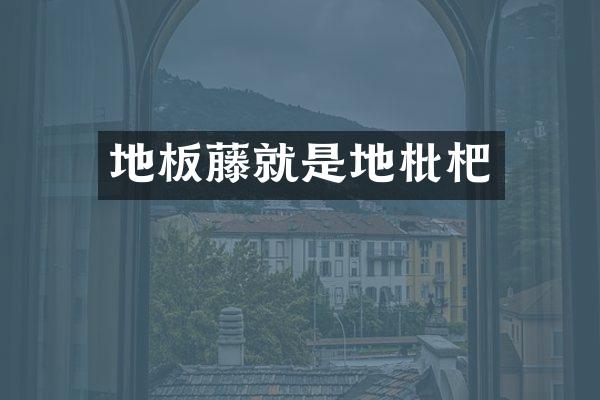 地板藤就是地枇杷