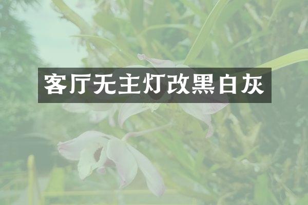 客厅无主灯改黑白灰
