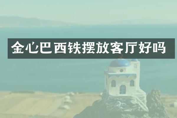 金心巴西铁摆放客厅好吗