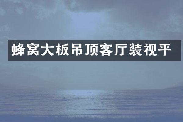 蜂窝大板吊顶客厅装视平