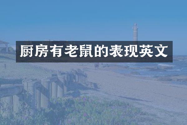 厨房有老鼠的表现英文