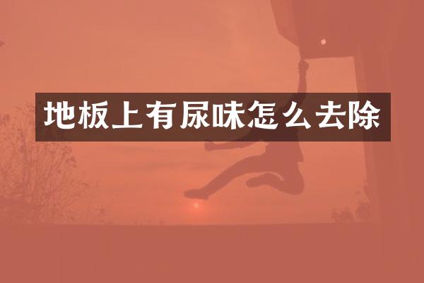 地板上有尿味怎么去除