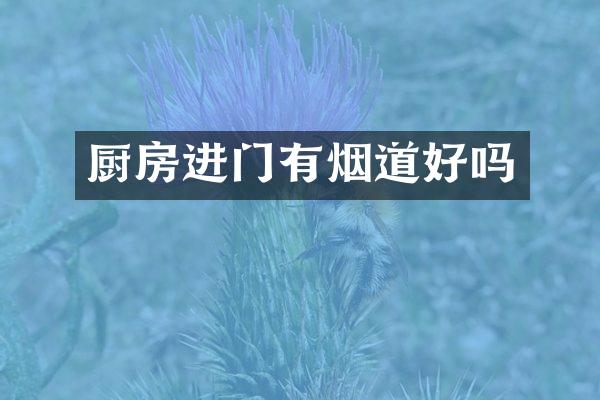 厨房进门有烟道好吗