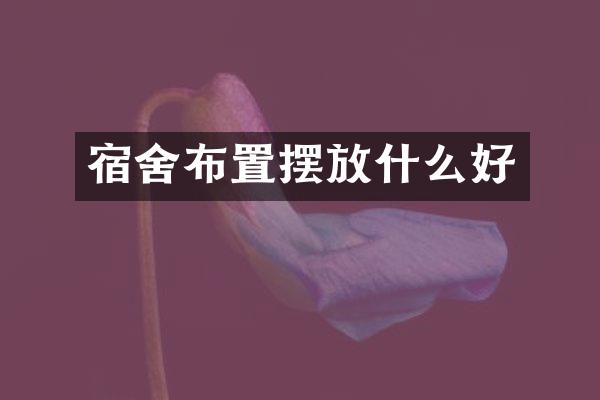 宿舍布置摆放什么好