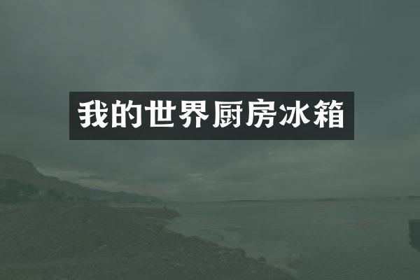 我的世界厨房冰箱