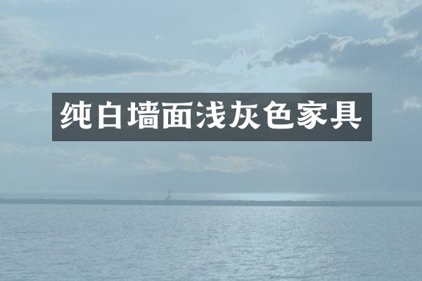 纯白墙面浅灰色家具