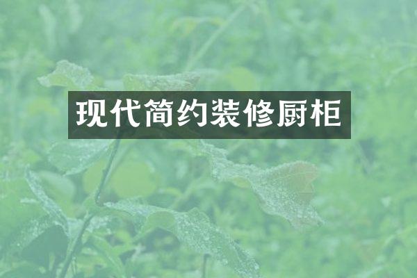 现代简约装修厨柜