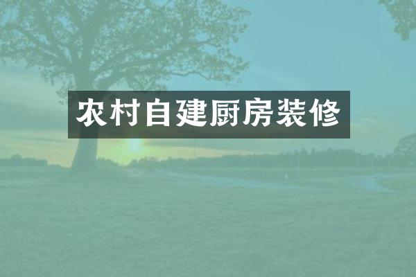 农村自建厨房装修