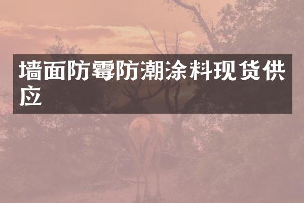 墙面防霉防潮涂料现货供应