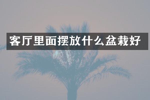 客厅里面摆放什么盆栽好