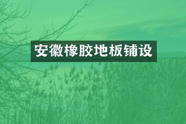 安徽橡胶地板铺设