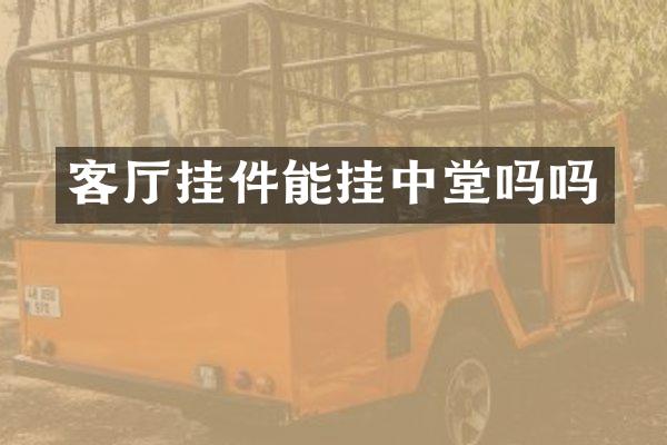 客厅挂件能挂中堂吗吗