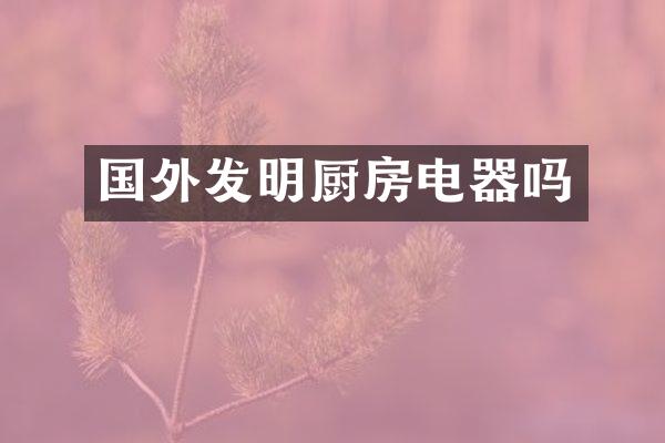 国外发明厨房电器吗