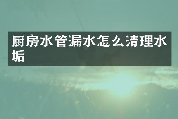 厨房水管漏水怎么清理水垢