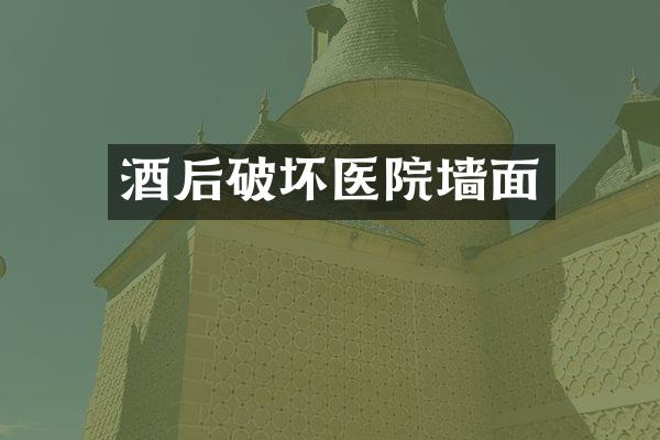 酒后破坏医院墙面