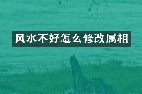 风水不好怎么修改属相