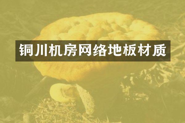 铜川机房网络地板材质