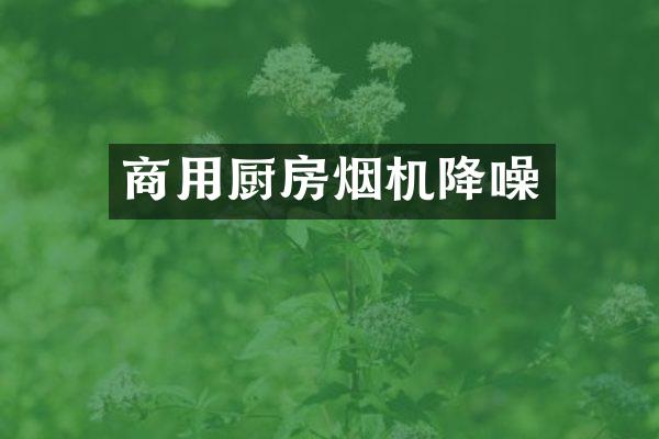 商用厨房烟机降噪