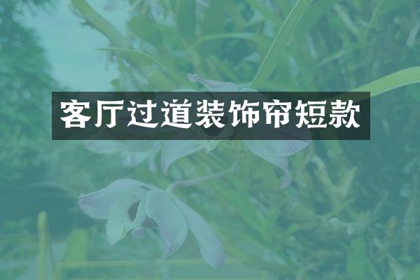 客厅过道装饰帘短款