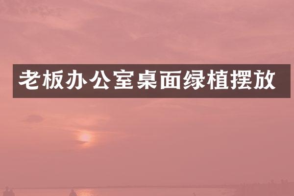 老板办公室桌面绿植摆放