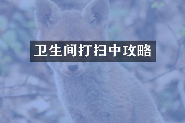 卫生间打扫中攻略
